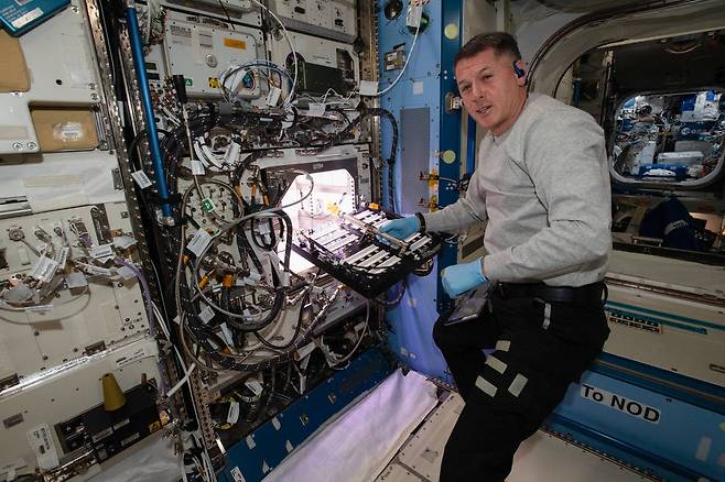 지난 7월, NASA 우주비행사들은 국제우주정거장(ISS)에서 최초로 고추를 재배하는 프로젝트를 시작했다