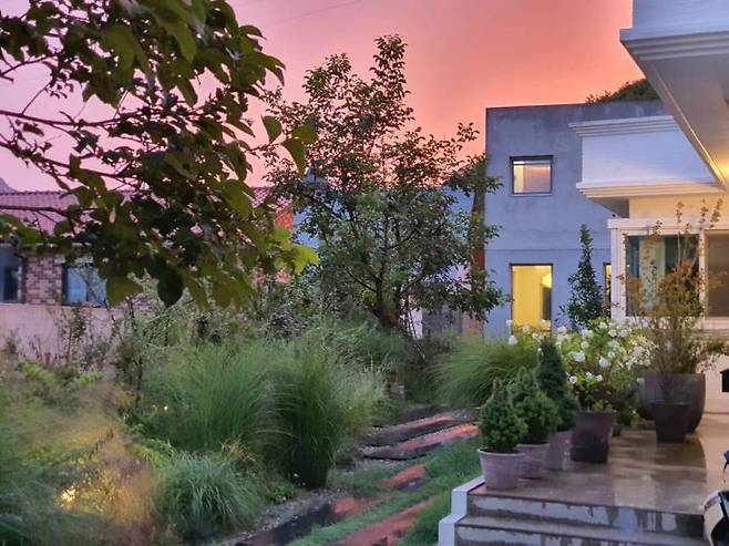 맨션자두 인스타그램