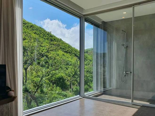 맨션자두 인스타그램