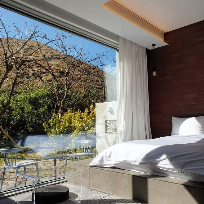 맨션자두 인스타그램