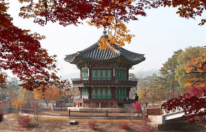 향원지 인근이 가을 분위기로 울긋불긋 물들어 있다. 김혜윤 기자