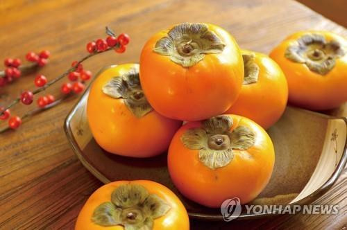 잘익은 김해 진영 단감 [연합뉴스 자료사진]