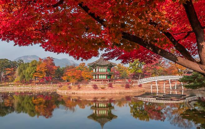 5일 오전, 문화재청 궁능유적본부가 복원 공사를 마친 서울 경복궁 향원정을 공개했다. 고종 때 세운 것으로 알려진 향원정은 사각형 향원지 안에 지은 육각 이층 정자다. '향원'(香遠)은 '향기가 멀리 간다'는 뜻이다. 2017년 5월 보수공사를 위해 향원지 주변에 가림막을 설치했고, 이듬해 11월 작업에 들어가 3년 만에 마무리했다.  / 고운호 기자