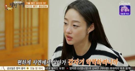 최여진이 어린 시절 캐나다로 유학을 가게 된 가정사를 고백했다. TV조선 '식객 허영만의 백반기행' 영상 캡처