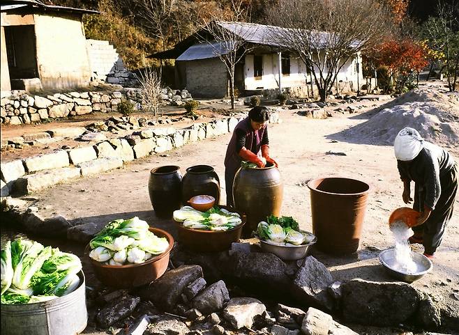 김장김치를 담그는 산골 마을 주부들. 1981년 [연합뉴스 자료사진]