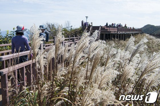 충남 홍성군 오서산 정상 © 뉴스1