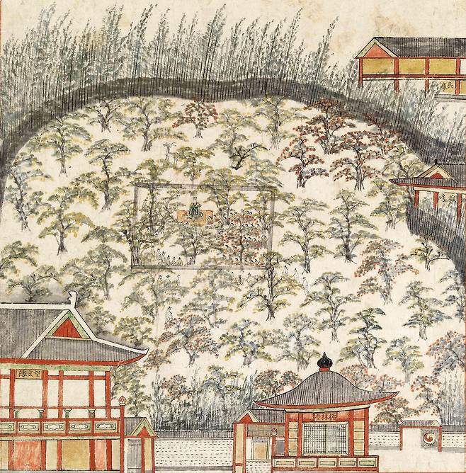 조선시대 탐라순력도 '귤림풍악'  (제주=연합뉴스) 조선 숙종 1702년 제주목사로 부임한 이형상이 화공 김남길에게 남기도록 한 채색 화첩 '탐라순력도' 귤림풍악은 귤나무숲에서 목사가 풍악을 즐기는 모습이 담겨있다. 2021.11.7 [제주도 제공, 재판매 및 DB 금지]