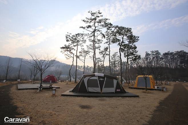 정식 캠핑장 데크 위에 설치된 텐트