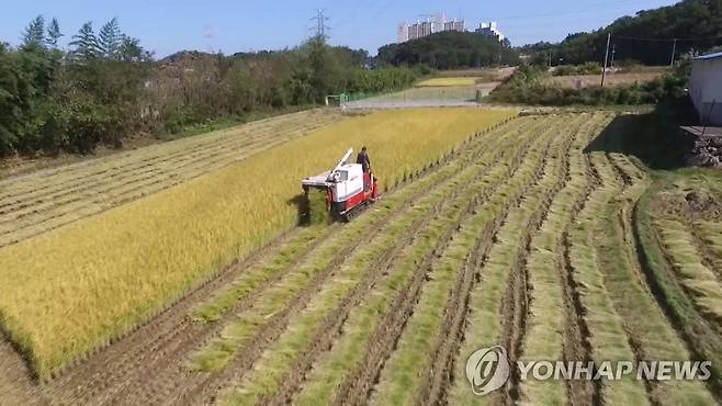 추수 자료사진.
[연합뉴스TV 제공]