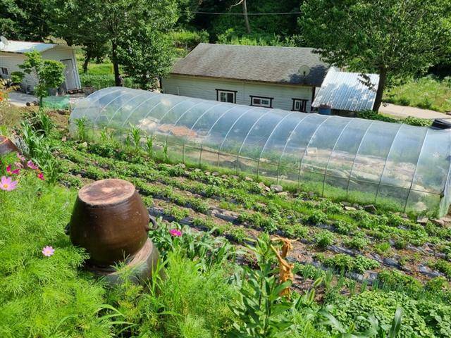 경주이씨 이재명 더불어민주당 대선후보의 생가터. 생가가 없어진 곳에 비닐하우스 등이 자리하고 있다. 안동시 제공