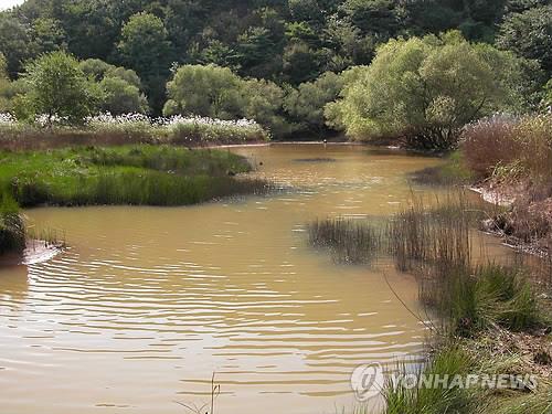 발견 당시의 문경 돌리네 습지 [국립환경과학원 제공. 재판매 및 DB 금지]