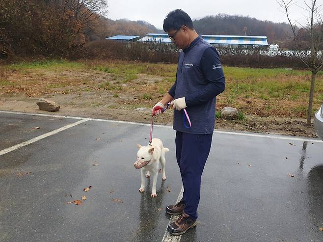 "반려동물과 외출 땐 목줄과 입마개를…" 제천시 제공. 재판매 및 DB 금지