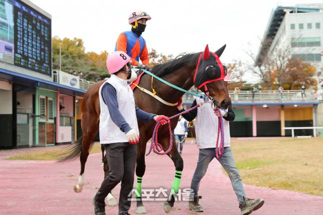 코리안더비 우승마 ‘위너스맨’과 최시대 기수가 예시를 위해 천천히 발걸음을 옮기고 있다.&nbsp; 제공 | 한국마사회