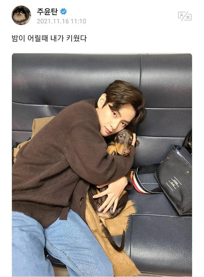 방탄소년단 뷔, 아기 밤과 러블리 투샷..아미 맘 녹이는 '미남테라피'