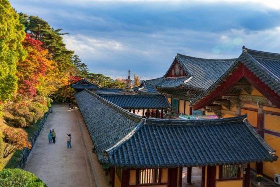 불국사 관음전에서 내려다본 불국사 대웅전 주변의 가을 풍경. 담장 안쪽으로 다보탑이 보인다.