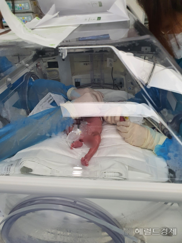 다섯쌍둥이 중 한 아기를 의료진이 집중 치료하고 있다. 김태열 기자