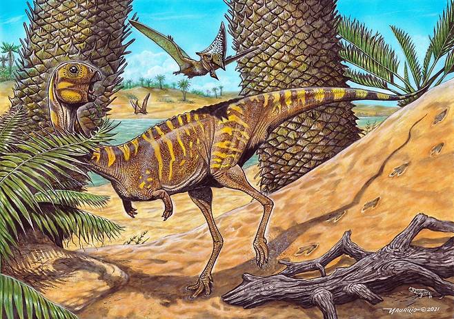 남미서 ‘새부리 닮은 주둥이’ 지닌 공룡 최초 발견(사진=마우릴리우 올리베이라)