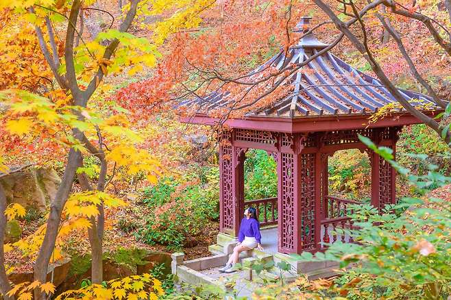 석파정 유수성중관풍루라는 별칭처럼 주변으로 짙은 단풍이 가득하다