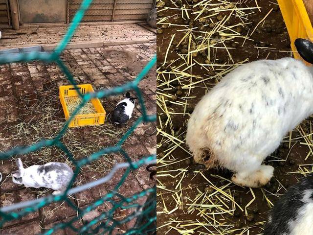 풀토동 커뮤니티