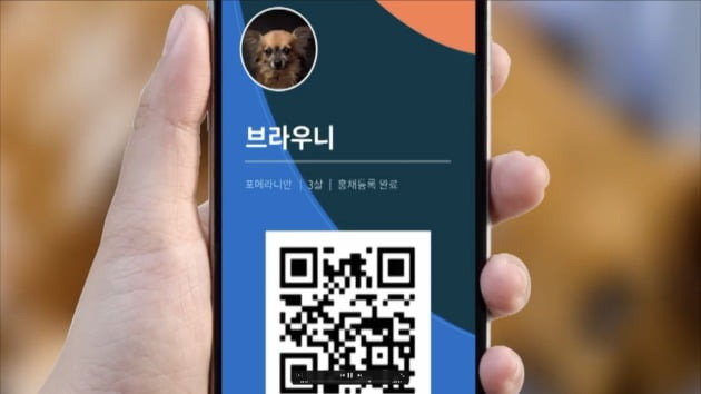 스트트업 아이디랩이 국내 최초로 홍채인식 기술을 이용해 개발한 반려동물 모바일 신분증