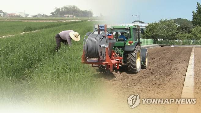 논이모작 [연합뉴스TV 제공]