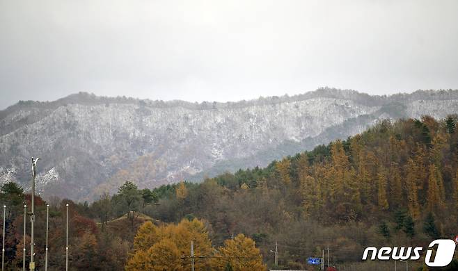 초겨울 날씨를 보인 12일 전북 장수군 마봉산 자락에 전날 내린 눈이 쌓여 단풍으로 물든 산과 대비를 이루고 있다. (장수군 제공) 2021.11.12/뉴스1