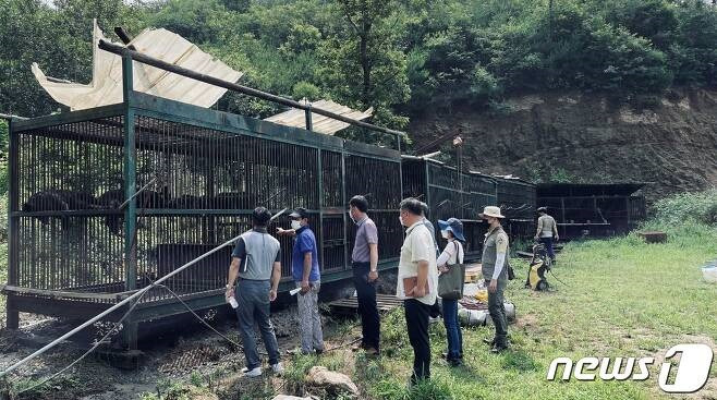 용인시, 환경부, 경기도, 국립공원공단 관계자들이 지난 7월 곰이 탈출한 농장 사육장을 점검하고 있는 모습. /사진=뉴스1