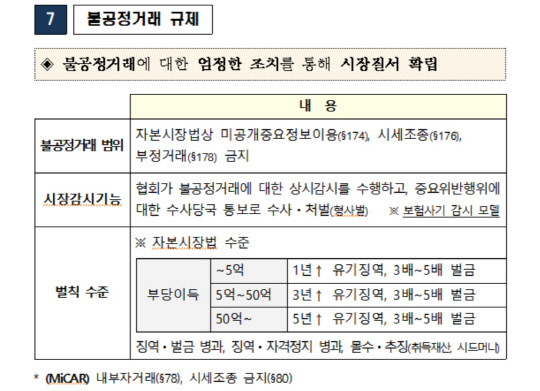 금융위가 국회에 제출한 '가상자산 이용자보호 등에 관한 법률 기본방향 및 쟁점' 보고서 일부