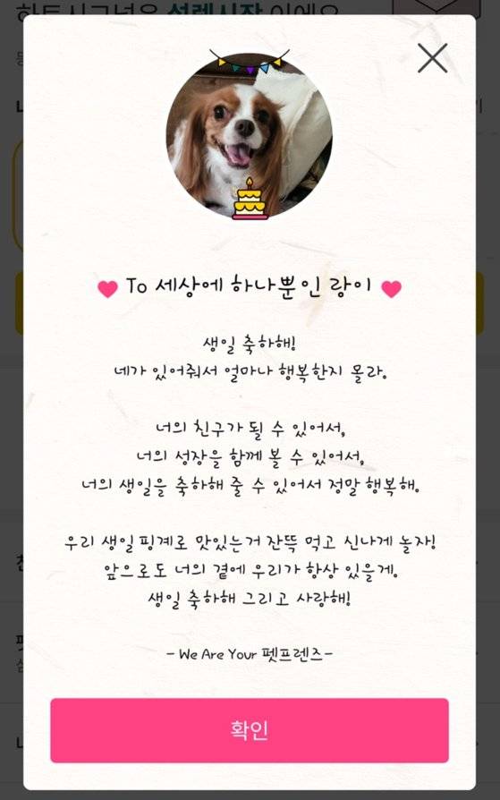 등록한 반려동물의 생일이 되면 축하 영상과 함께 축하 메시지를 담은 편지가 배달된다. 글 속에서 반려견에 대한 진심이 느껴진다. [사진 황지혜, 펫프렌즈 캡처]