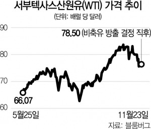 사진 설명