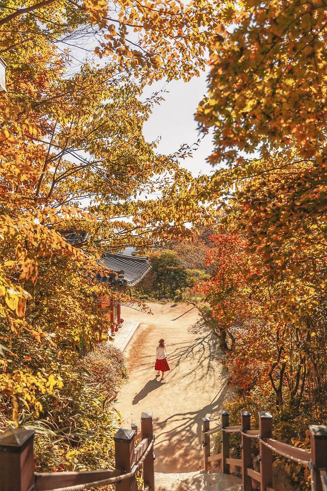 석굴암에서 내려가는 계단 (위에서 내려다본 풍경). 사진 한국관광공사.