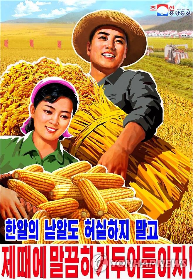 북한, 올해 농사 성과적 결속 강조하는 선전화 제작 [연합뉴스 자료사진]