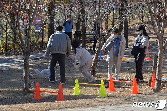 28일 경북 포항시 남구 오천읍 문덕리 포항반려동물테마공원 개장 행사에 놀러온 반려견들이 견주와 함께 전용 운동장에서 뛰어놀고 있다. 2021.11.28/뉴스1 © News1 최창호 기자