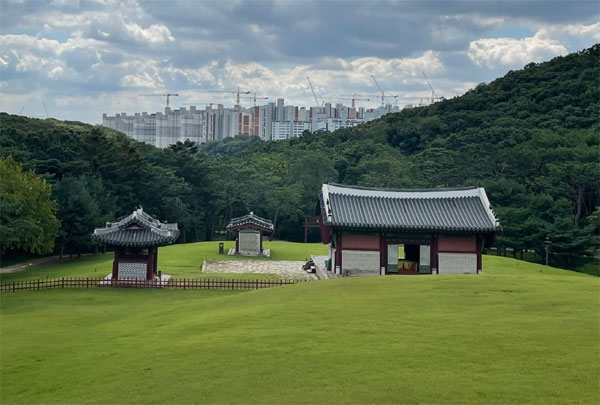 김포 장릉에서 바라본 검단신도시 아파트.  [매경DB]