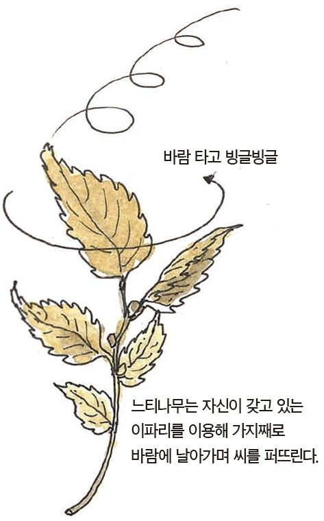 우리 주변 식물들의 비밀 이야기