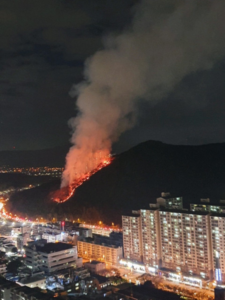 29일 부산 북구 야산 화재 현장. 부산경찰청 제공