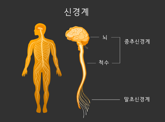 ©게티이미지뱅크