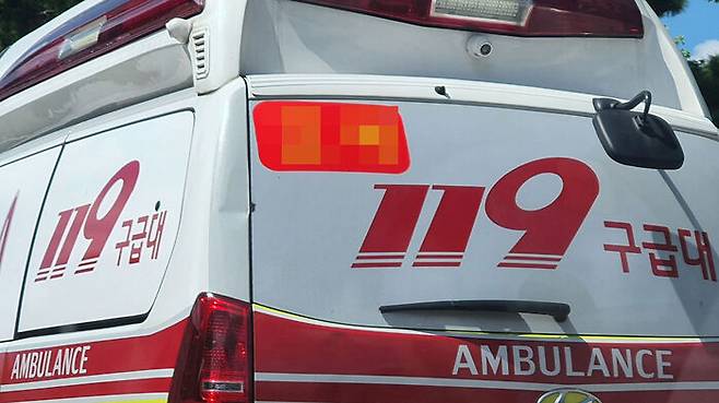 위 사진은 기사내용과 직접적인 관련이 없습니다.