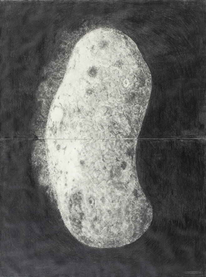 이강승, 무제(탑골공원의 자갈), 2018, 종이에 흑연, 160x120cm ⓒ이강승