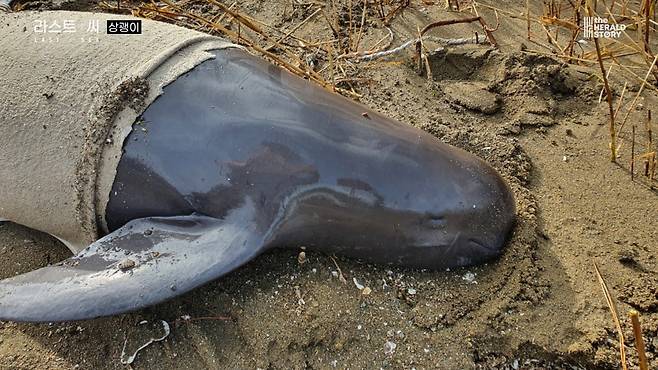 [출처: 라스트 씨]