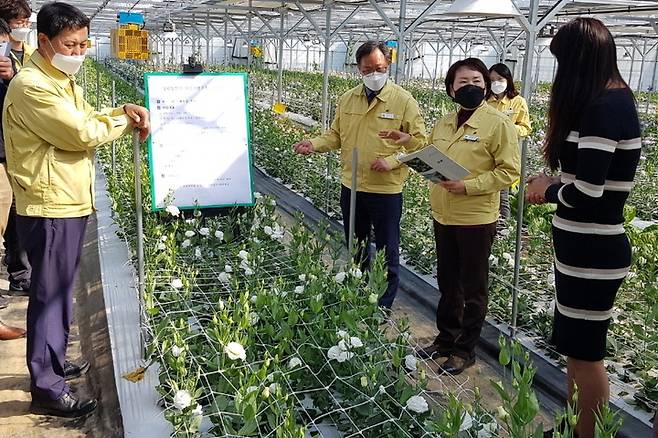 예천읍 청년농업인 자립기반구축 지원사업 현장 (사진=예천군 제공)  *재판매 및 DB 금지