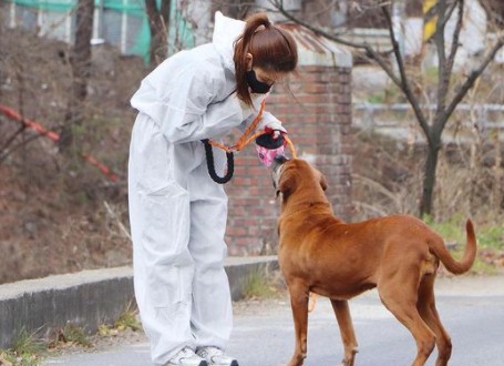 Actor Shin Se-kyung showed off his extraordinary beauty.On the afternoon of the 6th, Shin Se Kyung posted a picture on his instagram with the phrase with Bitme.In the photo, Shin Se Kyung spent time with a puppy at the Organic Dog Protection Center. I felt sincere in concentrating on puppy training.Above all, the appearance of taking care of the dogs skillfully attracted peoples attention.Meanwhile, Shin Se-kyung released the original film Anathema Records on the 28th of last month.Another Records is a cinematic real documentary film about the story that no one knew about Shin Se Kyung.