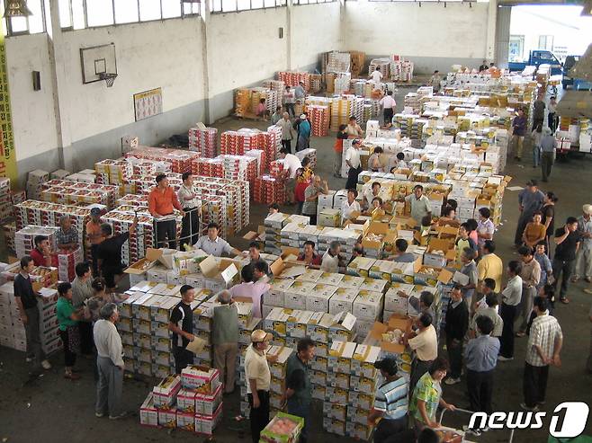 김제원예농협 농산물공판장.(자료사진)© 뉴스1