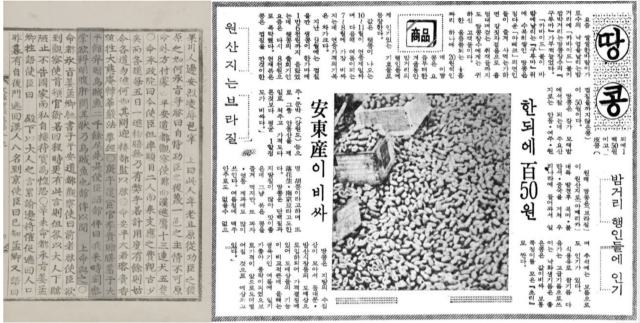 오징어에 대한 내용을 담은 문종 실록(좌)과 땅콩에 대한 내용을 담은 1966년 매일경제 기사. /출처=국사편찬위원회, 네이버 뉴스 라이브러리
