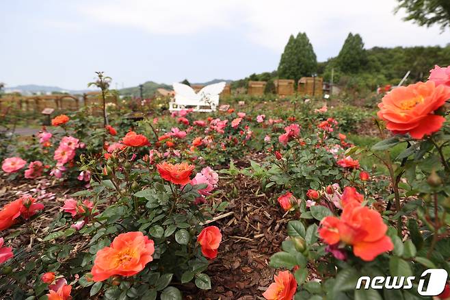 (사진은 기사 내용과 무관함) / 뉴스1 © News1