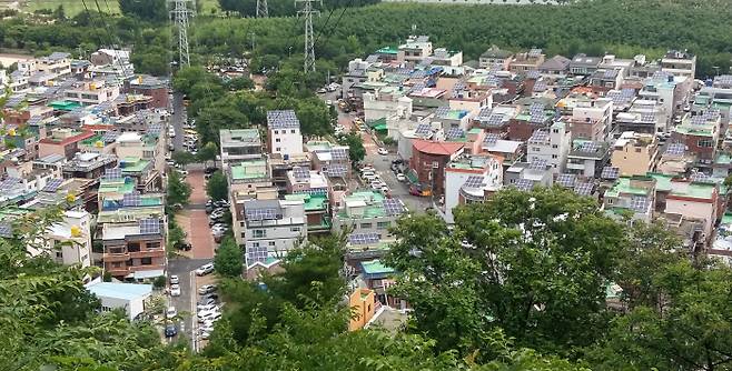 울산 남구 삼호그린빌리지의 각 주택 옥상에 8일 태양광 모듈이 즐비하게 설치돼 있다. 울산 남구 제공