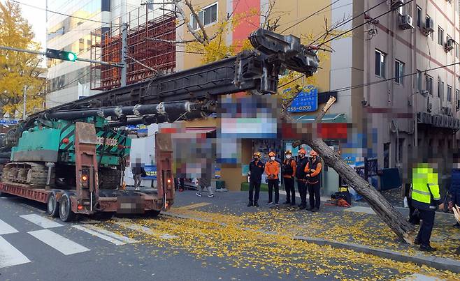 [부산=뉴시스] 중장비와 부딪혀 부러진 가로수. (사진=부산경찰청 제공) *재판매 및 DB 금지