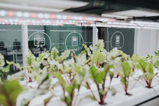 그린랩스 본사 내 위치한 애그테크 연구소 ⓒ송승훈