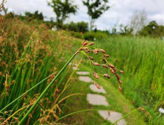 떠날 수도 있고, 머물 수도 있고, 아예 옮겨 지낼 수도 있다. 자연과 함께 지내는 방법에 대해 다양하게 모색해보려고 한다. [사진제공 국립생태원(공공누리 1 유형)]