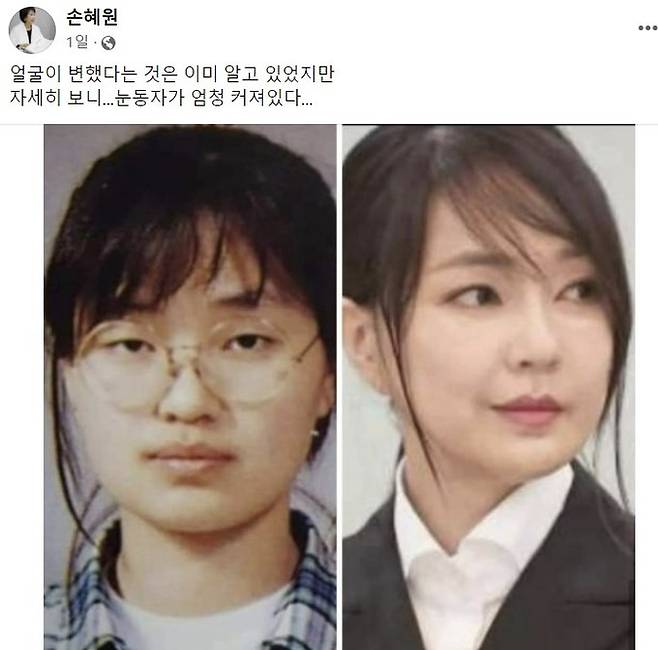손혜원 전 더불어민주당 의원 페이스북 캡처